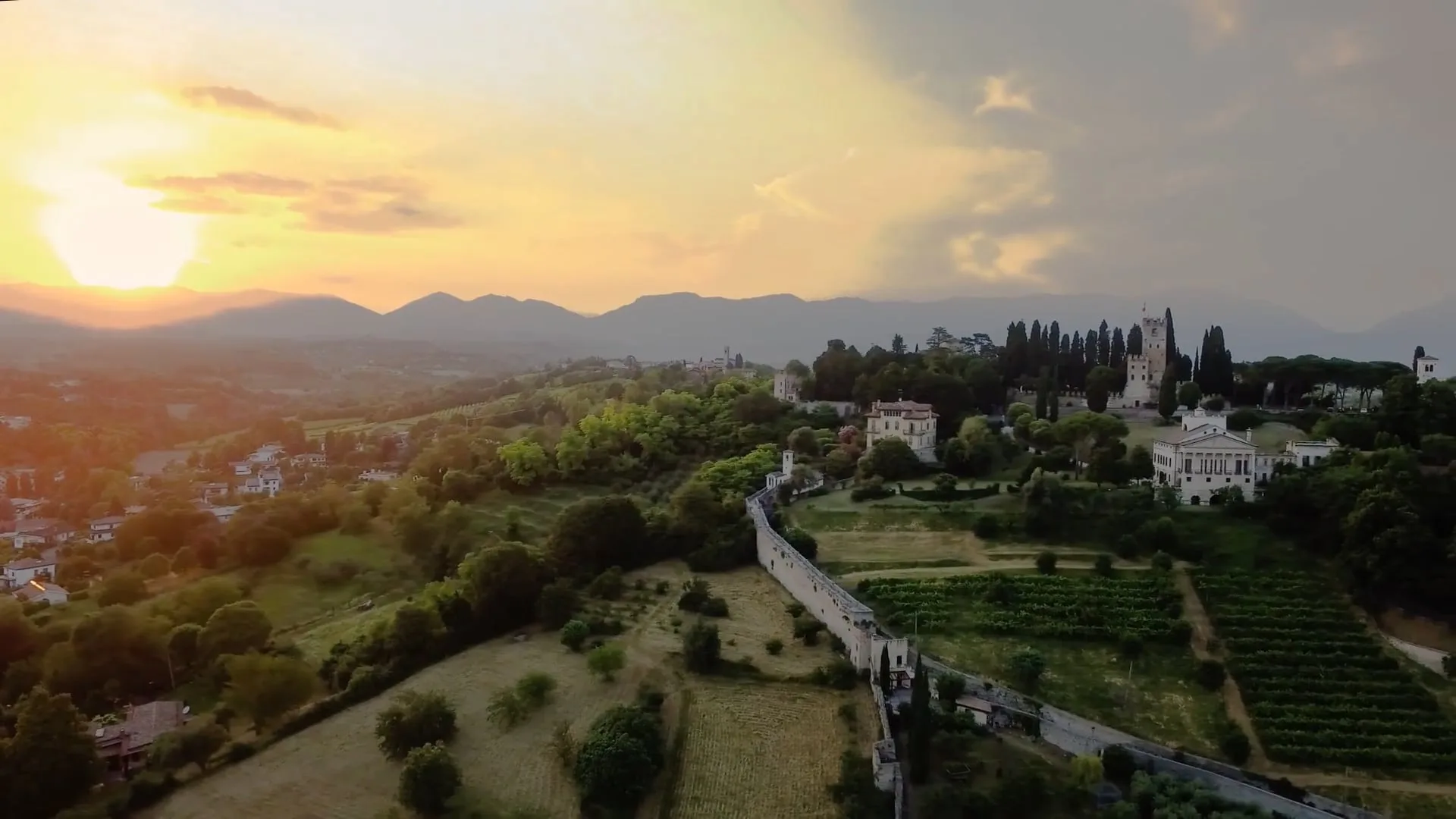 Video Visit Conegliano